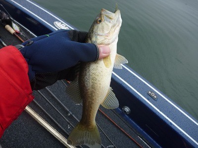 truth truth_news ブログ写真 2015/04/19