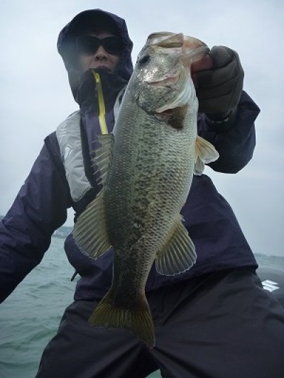 truth truth_news ブログ写真 2015/04/19