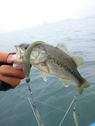 truth truth_news ブログ写真 2015/04/20