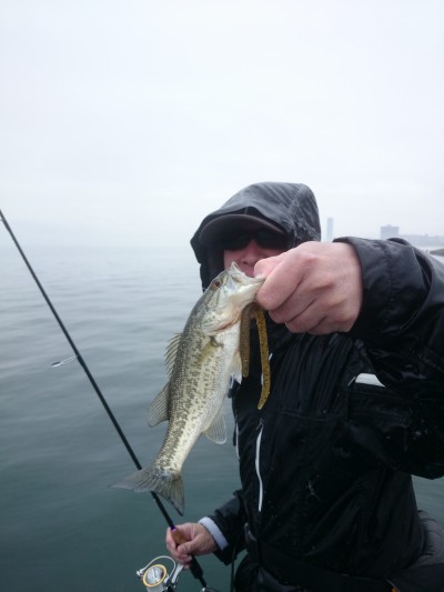 truth truth_news ブログ写真 2015/04/20