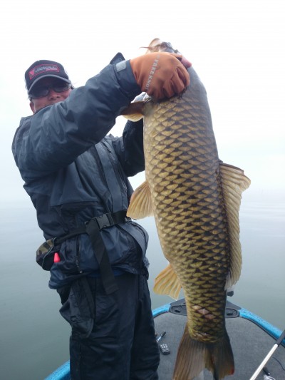 truth truth_news ブログ写真 2015/04/20