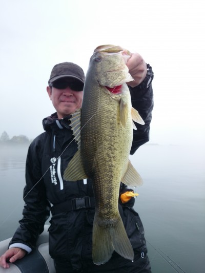 truth truth_news ブログ写真 2015/04/20