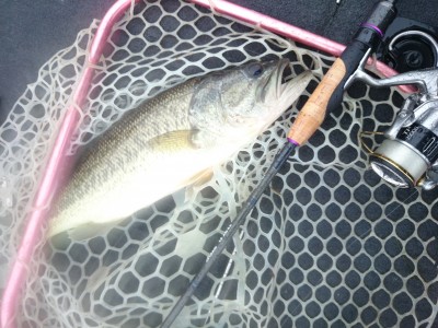 truth truth_news ブログ写真 2015/04/20