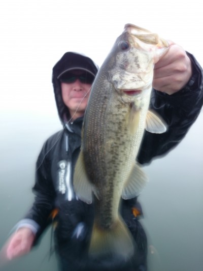 truth truth_news ブログ写真 2015/04/20