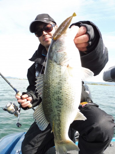 truth truth_news ブログ写真 2015/04/21