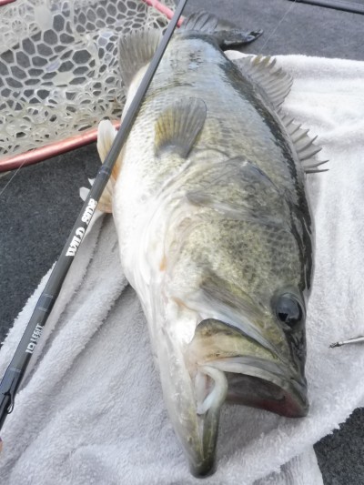 truth truth_news ブログ写真 2015/04/21