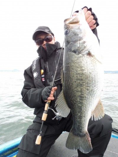 truth truth_news ブログ写真 2015/04/21