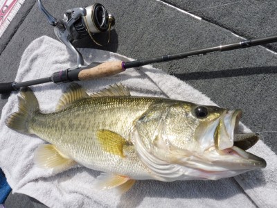 truth truth_news ブログ写真 2015/04/21