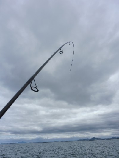 truth truth_news ブログ写真 2015/04/21