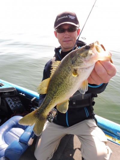 truth truth_news ブログ写真 2015/04/22