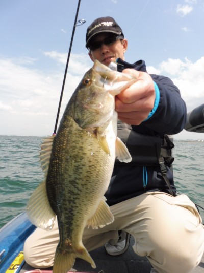 truth truth_news ブログ写真 2015/04/22