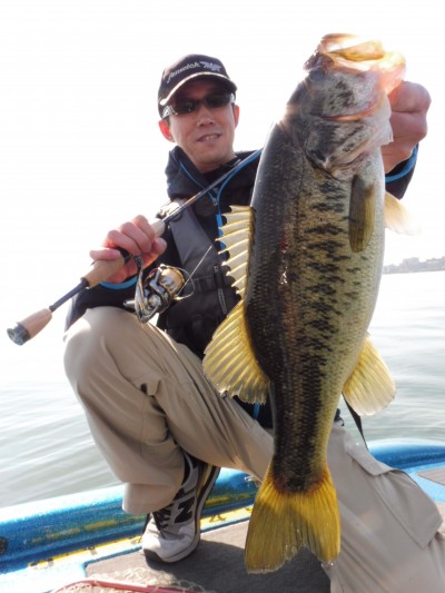 truth truth_news ブログ写真 2015/04/22