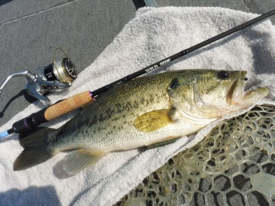 truth truth_news ブログ写真 2015/04/22