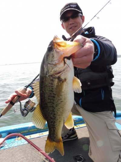 truth truth_news ブログ写真 2015/04/22