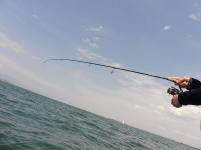 truth truth_news ブログ写真 2015/04/22