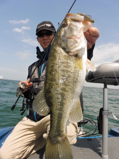 truth truth_news ブログ写真 2015/04/22