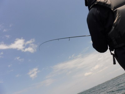 truth truth_news ブログ写真 2015/04/22