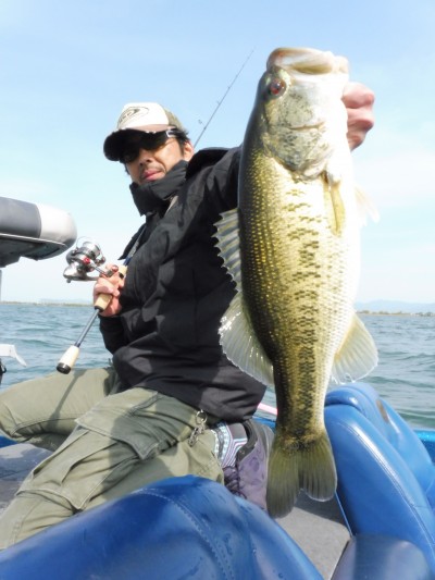 truth truth_news ブログ写真 2015/04/24