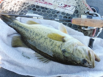 truth truth_news ブログ写真 2015/04/24