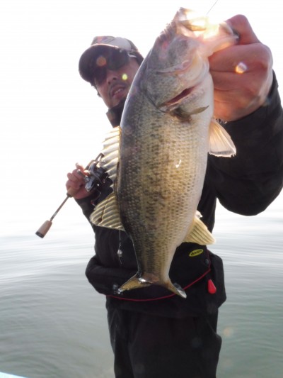 truth truth_news ブログ写真 2015/04/24