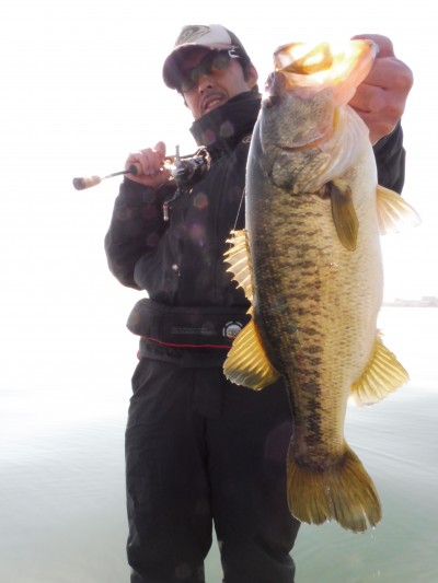 truth truth_news ブログ写真 2015/04/24