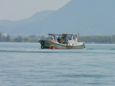 truth truth_news ブログ写真 2015/04/24