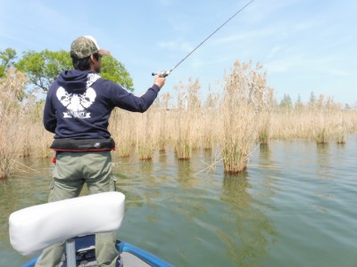 truth truth_news ブログ写真 2015/04/24