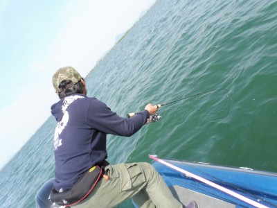 truth truth_news ブログ写真 2015/04/24