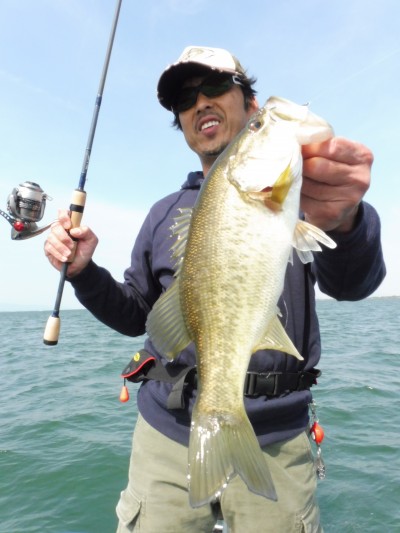 truth truth_news ブログ写真 2015/04/24