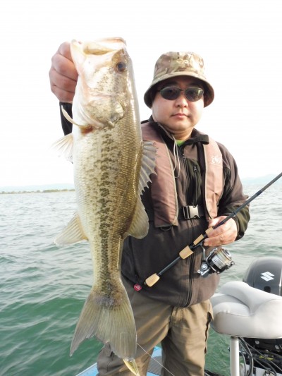 truth truth_news ブログ写真 2015/04/24