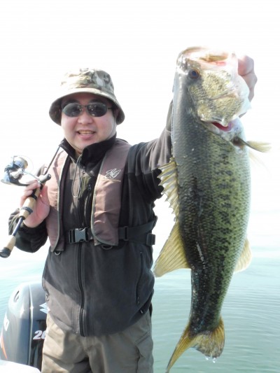 truth truth_news ブログ写真 2015/04/24