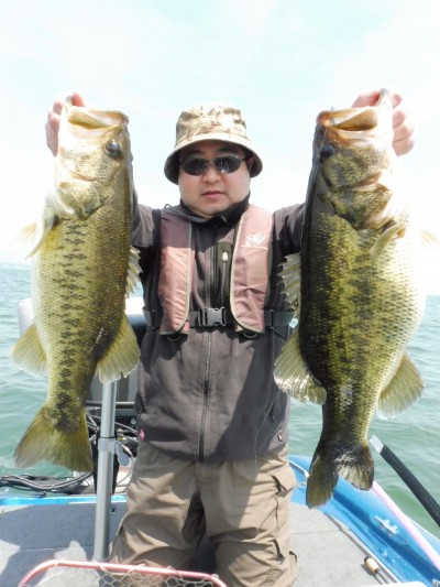 truth truth_news ブログ写真 2015/04/24