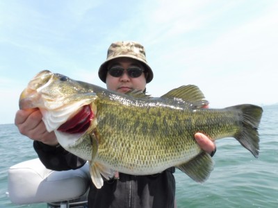 truth truth_news ブログ写真 2015/04/24