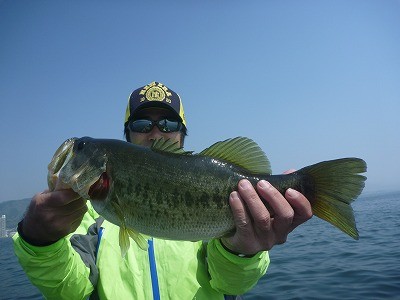 truth truth_news ブログ写真 2015/04/25