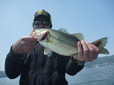 truth truth_news ブログ写真 2015/04/25