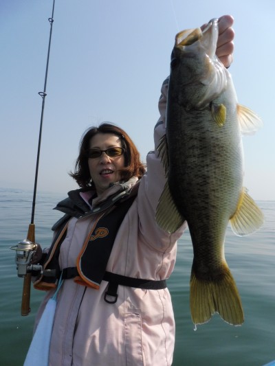 truth truth_news ブログ写真 2015/04/26