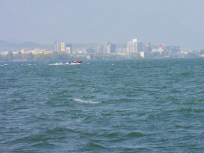 truth truth_news ブログ写真 2015/04/26