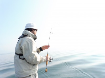 truth truth_news ブログ写真 2015/04/26