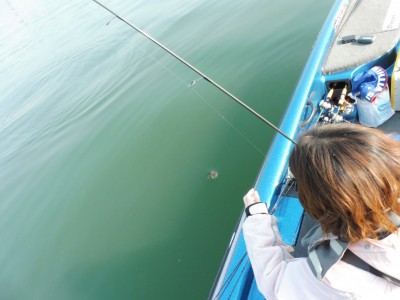 truth truth_news ブログ写真 2015/04/26