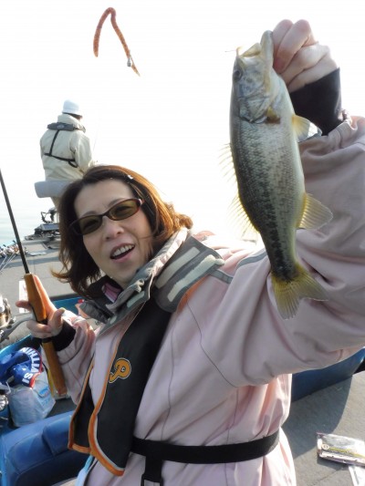 truth truth_news ブログ写真 2015/04/26