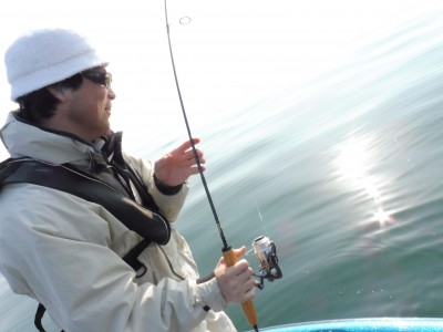 truth truth_news ブログ写真 2015/04/26