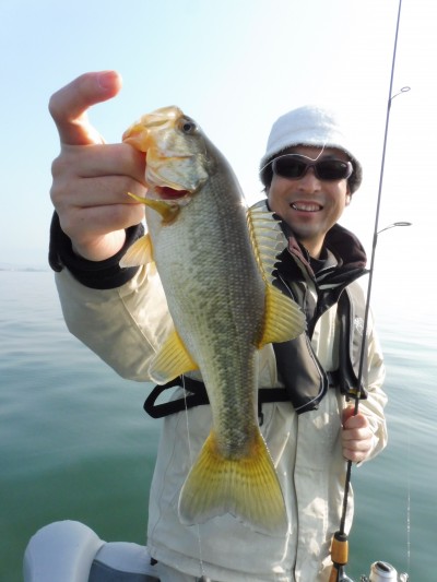 truth truth_news ブログ写真 2015/04/26