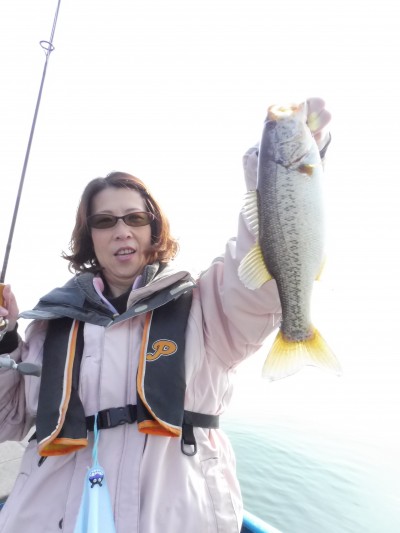 truth truth_news ブログ写真 2015/04/26