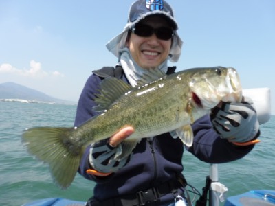 truth truth_news ブログ写真 2015/04/27