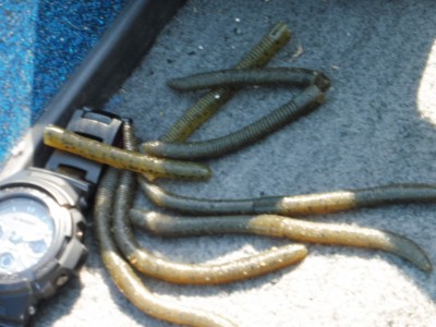 truth truth_news ブログ写真 2015/04/27