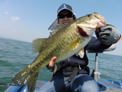 truth truth_news ブログ写真 2015/04/27