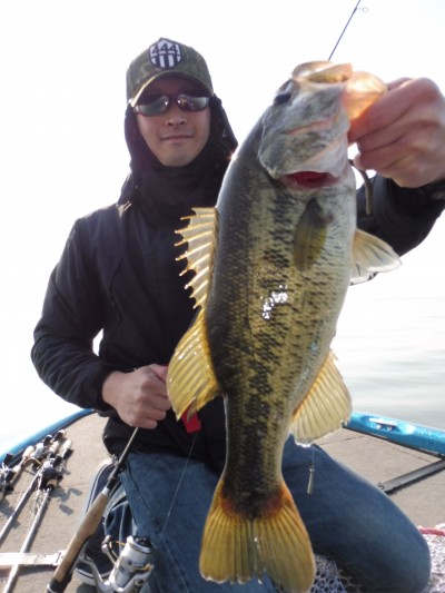 truth truth_news ブログ写真 2015/04/27