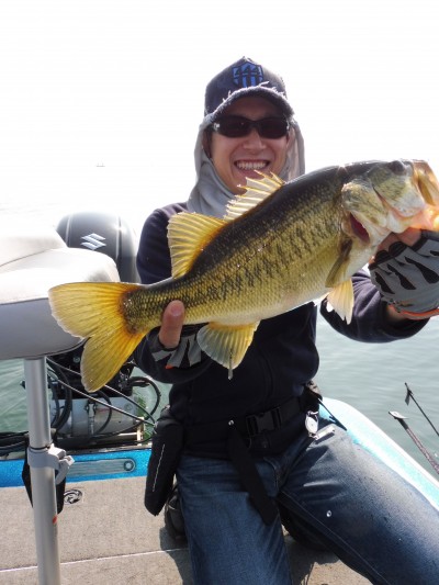 truth truth_news ブログ写真 2015/04/27