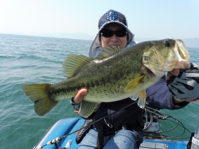 truth truth_news ブログ写真 2015/04/27