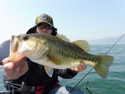 truth truth_news ブログ写真 2015/04/27